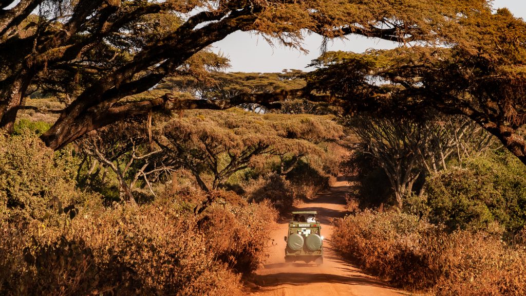 Do Afriky za zvermi, alebo výber z afrického denníka